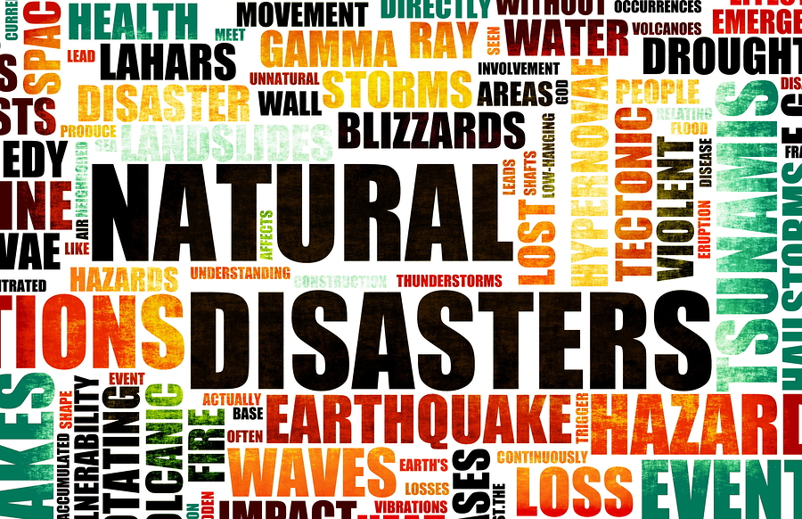 how-natural-disasters-impact-businesses-the-avilar-blog